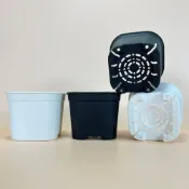 (店+)【欣榮園藝資材行】新式圓角透氣盆 2吋 3吋  黑 白 多肉 栽培盆 花盆 多肉土