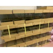 玻璃魚缸【30*18*24】 鬥魚缸 桌上缸 小型生態缸 孔雀魚缸 展示缸 一尺缸 8吋缸