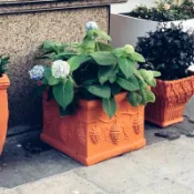 卜二屋 公司貨 免運 包郵紅陶花盆大號紅陶器陽臺種菜包郵粗陶盆園藝用品方盆紅陶花盆 快速發貨
