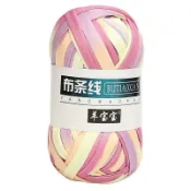 🌈台灣出貨🌈100克 60色 羊寶寶 布條線 花式段染布條線 泫雅編織包包 粗毛線團 亞克力透明diy毛線 手工編織