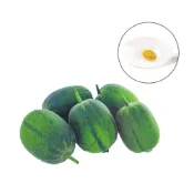(店+)【蔬菜之家】G98-1.蘋果絲瓜種子1顆生育強建，節成性強。短筒型，品質極佳，果長18公分左右果菜類種子