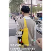 超Q寵物包 網紅 手提包 購物袋 外出籠 寵物外出籠 帆布包 側背包 肩背包 帆布袋 貓罐頭 米老鼠 抖音 米奇 狗頭包