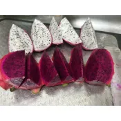 （水果）穏根火龍果苗已長側芽株（ 紅肉）（白肉）請挑選 仙毬園