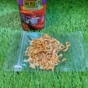 ［水族最便宜］乾燥蝦 高級黑殼蝦 龍魚飼料 花羅漢飼料 慈鯛飼料 海水魚飼料 烏龜飼料-10g散裝