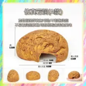 ★爬蟲新樂園★[台灣現貨]高質感仿真岩石躲避屋 躲避洞 躲避洞穴 樹酯製成 守宮 蜥蜴 陸龜 爬蟲 蛇 角蛙 休憩