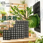 🌷創藝園 台灣出貨🌷植床板 鹿角蕨上板材料 附掛鉤帶螺絲 蘭花 蕨類 上板 蕨類上板神器 塑膠植物板透氣板