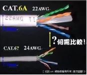 [ 光訊 10G ] 大同網路線_真正CAT.6A_頂極線材，超粗線徑9.8MM，非一般市面 扁平CAT.7 CAT 6