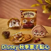 ⭐️🌰秋季栗子點心⭐️  日本 迪士尼 2026 巧克力 束口袋 鐵罐餅乾 維尼 米奇 米妮 奇奇蒂蒂 鳳梨 史迪奇