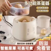 【隔日達】 多功能雙層蒸蛋器 110V家用煮蛋器 附不鏽鋼蒸蛋碗 蒸蛋神器 料理機 煮蛋神器 迷你早餐機 廚房早餐神器