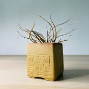 Rainxpluie 知雨若泥 多肉盆栽•桌面植栽花盆•陽台綠化•辦公室•園藝造景•素燒幾何圖騰方盆 茶色
