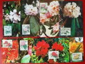 1991 中國 杜鵑花 原圖卡