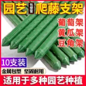 協貿國際日用品生活12館 爬藤架子葡萄園藝花支柱支撐桿庭院戶外包塑鋼管菜園竹竿搭架網紅