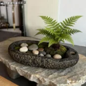 🌸臺灣熱賣🌸石頭牛槽魚缸陶瓷花盆無孔睡蓮養魚專用豬食槽金錢草長方形石槽