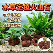 火山石水草定植 水下植物固定環 陶瓷環