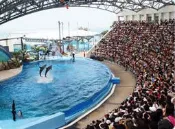 ~花蓮遠雄海洋公園門票(缺貨中請勿下單)