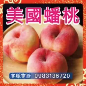【美國蟠桃】嫁接苗 冰糖水蜜桃 熱帶大果水蜜桃 紅寶石水蜜桃 璀璨黃金水蜜桃 蟠桃皇后 西王母桃 白鳳水蜜桃 紅鈴水蜜桃