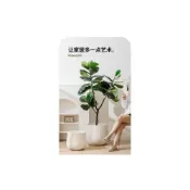 (店+)北歐簡約高顏值網紅水泥花盆藍花楹天堂鳥龜背竹百合竹手工大花盆 花盆 客廳花盆 陽台花盆 室內花盆