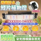 JUMIO LED植物生長補光燈 全光譜植物燈 智能定時 植物生長燈 蔬菜水果補光燈