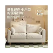 (店+)小沙發 兩人沙發 雙人沙發 小戶型沙發 北歐簡約現代沙發 臥室沙發 出租房簡易沙發 雙人三人客廳沙發 佈藝沙發