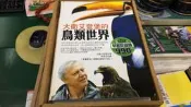 近全新)大衛艾登堡的鳥類世界-艾登堡-蔡承志/譯-貓頭鷹 XX