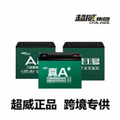 極樂藏寶閣 【石墨烯長效】電動車電池 鉛酸電瓶 超威電池 12V12Ah 48V20Ah 32Ah 電動三輪車專用 高續航 大容量 免維護 耐低溫 臺灣現貨