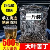 甄選好貨 【大份量500g】海南正宗苦丁特級大葉苦丁茶壹級苦丁新茶批發50-1000g非青山綠水