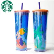 美國購入 starbucks 星巴克  棕櫚樹 熱帶夏季 夏日海灘 冷水杯 冷飲杯 隨行杯 雙層杯 附吸管