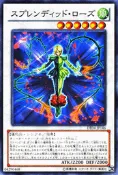 萬隆達* DE04-JP146 華麗薔薇  普卡搜 TSHD-JP043
