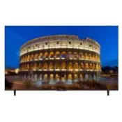 (含標準安裝)Panasonic國際牌55吋4K連網智慧顯示器TN-55W70CGT