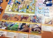 原價2400  (免運) 方舟動物園 Ark Nova 策略 經營 繁體中文版 正版桌遊