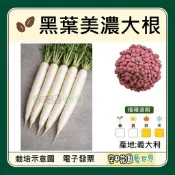 【種子 電子發票】黑葉美濃大根 種子｜長型白蘿蔔｜秋冬播種｜高產耐種｜根型直順｜蔬菜種子｜空中花園藝世界