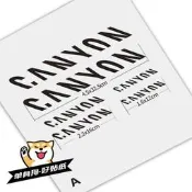 汽車配件 canyon車架貼紙蠶蛹公路車山地車單車貼改色噴漆定製反光防水前叉