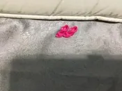 正版芭比高質感娃娃鞋～153
