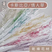 多色挑選！卡斯比亞 永生花 花束材料 材料包 情人草 花束 乾燥花材料 聖誕diy材料 浮游花 蠟燭材料 乾燥花 永生花