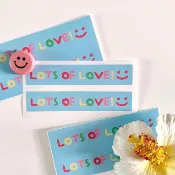 [Day's select] Lots of Love長形貼紙 禮物封口貼 出貨貼紙 花束包裝貼 母親節 父親節 教師節