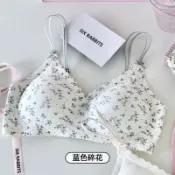 內衣 無痕內衣 無鋼圈內衣 聚攏內衣 上託 防下垂內衣 少女內衣 細肩帶內衣 疊搭內衣 可愛俏皮 小碎花內衣 文胸