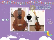 【正興樂器】UMA 山豬款 桃花心木 有現貨 21 吋 ukulele 夏威夷小吉他 台南 烏克麗麗 專賣