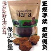 臺灣出貨🚚夏季優選🎉正宗俄羅斯樺樹茸三高樺褐孔菌白樺茸黑金顆粒原裝野生進口
