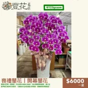 💫豐花花店 網路 花店 婚喪喜慶 喪禮 開幕 蝴蝶蘭 蘭花 花籃 鮮花 告別式 盆栽 雲林 台中 彰化 南投 殯儀館