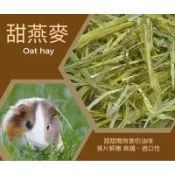甜燕麥 🔥火速出貨🔥 兔子 天竺鼠 莊園頂級牧草🪹  500克（手工過篩）1公斤（無過篩）