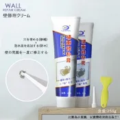 【生活市集】牆面修補膏250g（附刮刀+尖嘴 補牆 防水修補劑 塗料修復裂痕 填縫 颱風）