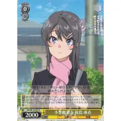 （幻換卡舖）WS 青春豬頭少年不會夢到兔女郎學姊 青豬 SBY/W114-007 R 櫻島麻衣 蒐藏卡