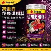 波蘭Tropical德比克 高蛋白花羅漢飼料 嗜口性高 成魚 幼魚成長高蛋白