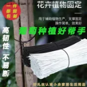 【紮絲綁絲】包塑鐵絲紮帶 白色黑色塑料鐵芯 葡萄綁枝繩 電綫細綁綫帶 鐵絲綁帶 鐵絲 繩