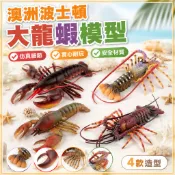 仿真模型 動物模型 仿真龍蝦 波士頓大龍蝦 海洋生物模型 海底動物 仿真動物 海洋生物圖鑑 龍蝦玩具 動物模型大型