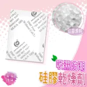 【快速發貨 滿額免運】🌱飼料乾燥劑🌱乾燥劑 1g/3g/5g 吸濕氣 乾燥劑 乾燥 防潮包 乾燥包 防潮包 吸水 吸濕包