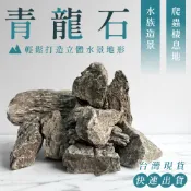 青龍石 1kg｜天然造景石 水族魚缸 烏龜曬台 微景觀生態瓶 多肉植物 苔癬 園藝造景 盆栽 天然石頭 現貨