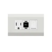 EZ CHARGER 易智快充 國際牌(R) Panasonic(R) 星光(R)面板-磐石65WUSB(C+C)+磐石AC安全插座+國際牌(R)開關
