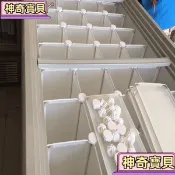 «台灣出貨開發票»冰櫃雪糕霜淇淋分類隔板分隔格擋欄冷凍丸子隔斷板冰柜內寘物架