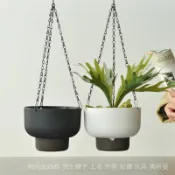 大號加厚塑料花盆懸掛式吊籃自吸水綠蘿多肉植物盆壁掛常春藤透氣 PULT